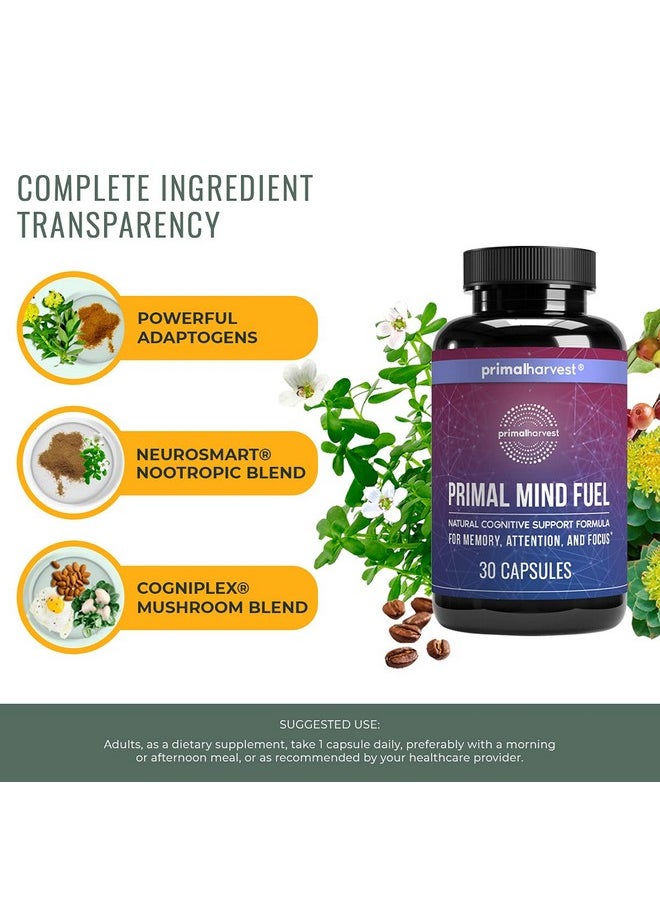 Primal Harvest - Nt By Primal Harvest Primal Mind Fuel Brain Booster For Focus Energy Clarity Memory Brain Health 30 Capsules Nootropics Brain Support Supplement For Men And Women - Image 1