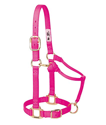 Weaver Leather 35-4805-DP Nylon Miniature Horse Adjustable Halter, Large, Diva Pink - Image 3
