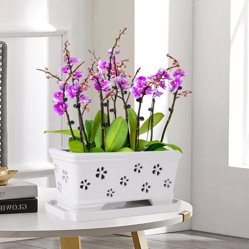 Lovely Ran Orchid Pot With Holes And Saucer - 12*6.3*5.3Inch Ceramic Large Pot Basin For Refilling - Indoor And Outdoor Use - Air Circulation - Image 3