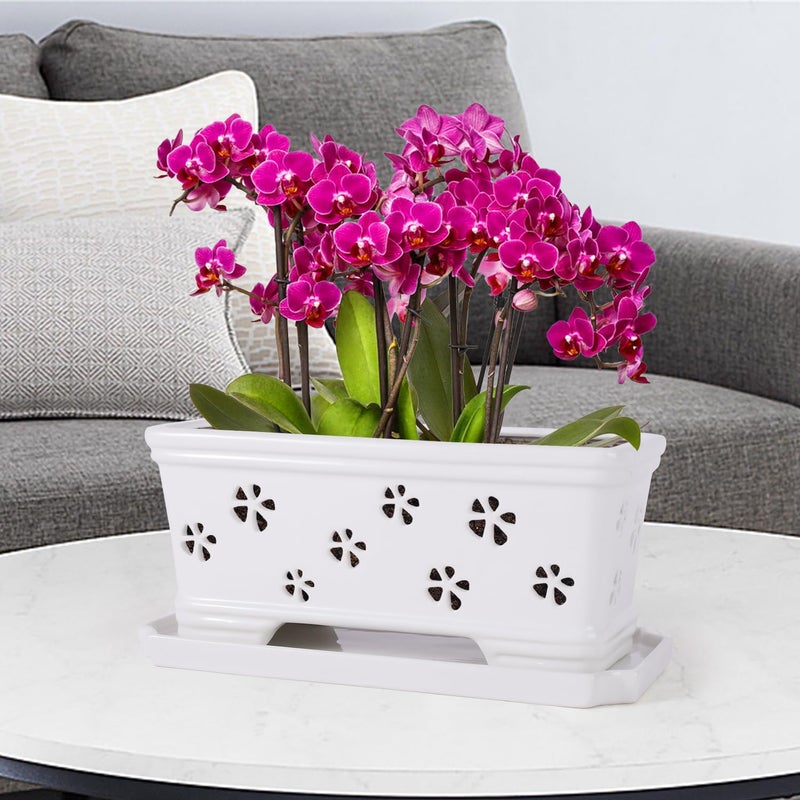 Lovely Ran Orchid Pot With Holes And Saucer - 12*6.3*5.3Inch Ceramic Large Pot Basin For Refilling - Indoor And Outdoor Use - Air Circulation - Image 5