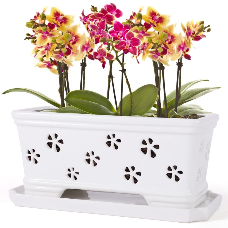 Lovely Ran Orchid Pot With Holes And Saucer - 12*6.3*5.3Inch Ceramic Large Pot Basin For Refilling - Indoor And Outdoor Use - Air Circulation - Image 1
