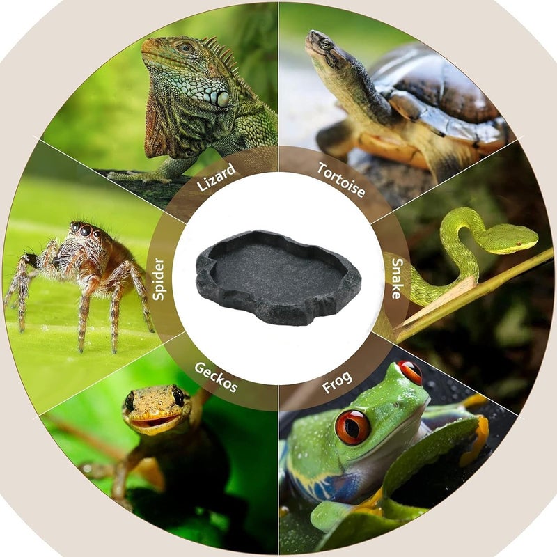 AYNEFY Reptile Food Water Rock Bowls,Resin Reptile Feeder Lizard Feeding Dish Amphibian Feeder Bowl Terrarium Decor for Bearded Dragons Leopard Gecko Frog Snake(Emerald - Image 3