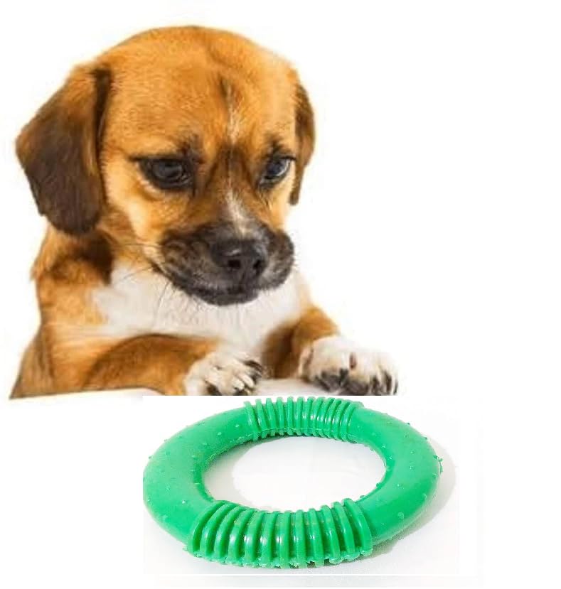 swacch Shampoo | Puppy Safe Shampoo | PH Balanced | Spitz Dog Shampoo 1 Litre Pack of 2 Neem Alovera + | O PVC Ring Rubber Chew Toy | Teething Chew Toy I Dental Teething I Durable I Combo Pack - Image 3