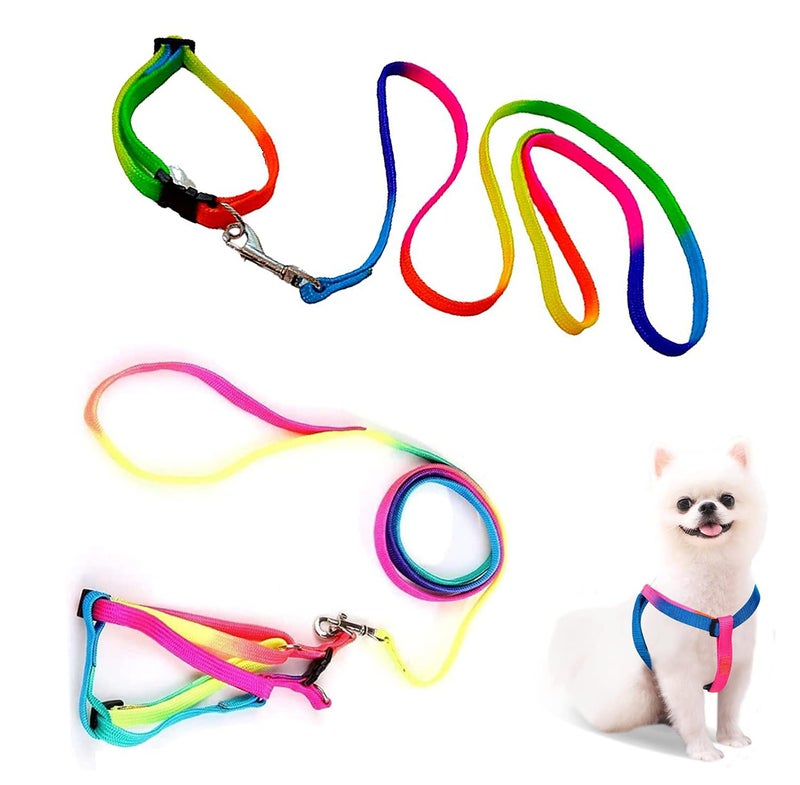 Sage Square No Pull Dog Harness and Leash Set, No Chock Puppy Step in Vest Harness Nylon Lightweight Neck&Chest Adjustable for Dogs Girls and Boy, Pet Harness for Small Medium Dogs (Rainbow Coloured) - Image 1
