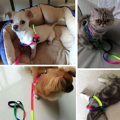Sage Square No Pull Dog Harness and Leash Set, No Chock Puppy Step in Vest Harness Nylon Lightweight Neck&Chest Adjustable for Dogs Girls and Boy, Pet Harness for Small Medium Dogs (Rainbow Coloured) - Image 4