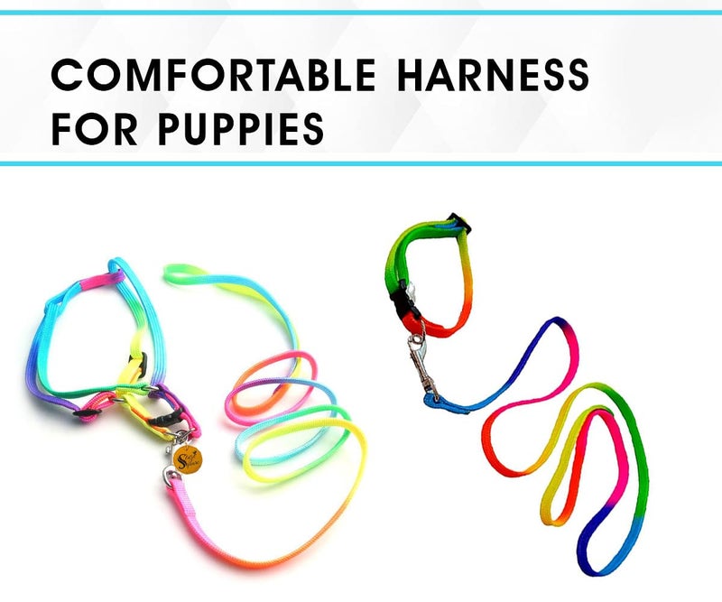 Sage Square No Pull Dog Harness and Leash Set, No Chock Puppy Step in Vest Harness Nylon Lightweight Neck&Chest Adjustable for Dogs Girls and Boy, Pet Harness for Small Medium Dogs (Rainbow Coloured) - Image 5