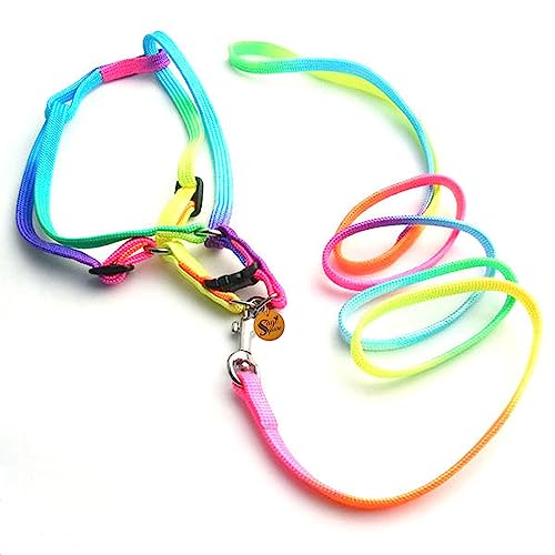 Sage Square No Pull Dog Harness and Leash Set, No Chock Puppy Step in Vest Harness Nylon Lightweight Neck&Chest Adjustable for Dogs Girls and Boy, Pet Harness for Small Medium Dogs (Rainbow Coloured) - Image 2