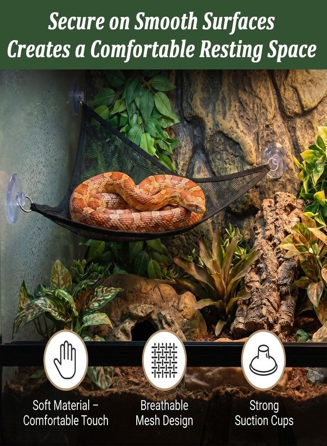 Sploziia 3 Pcs Snake Enrichment Toys Tank Accessories Include Jungle Gym Ball with Chain, Hammock Climbing Rings Reptile Cage Terrarium Habitat Decor for Ball Python Chameleon Corn Snake Lizard Parrot - Image 4