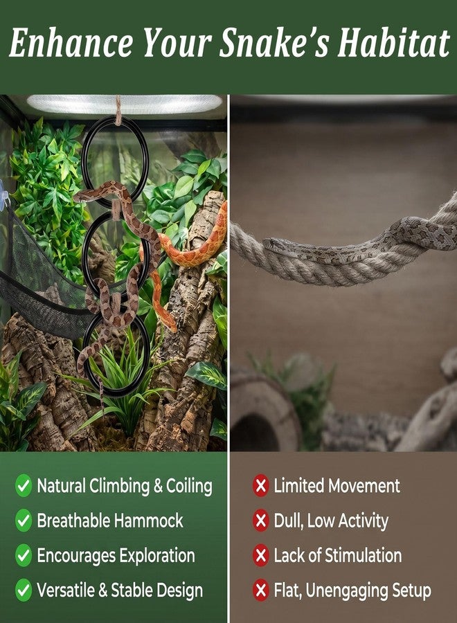 Sploziia 3 Pcs Snake Enrichment Toys Tank Accessories Include Jungle Gym Ball with Chain, Hammock Climbing Rings Reptile Cage Terrarium Habitat Decor for Ball Python Chameleon Corn Snake Lizard Parrot - Image 5