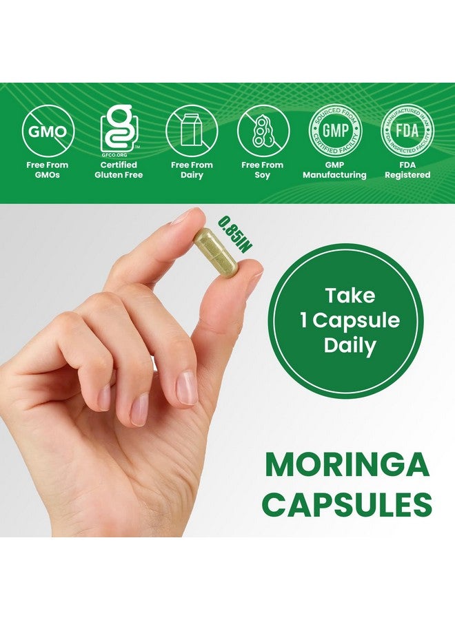 Leaping Lynx Moringa Oleifera Capsules 10,000mg - Energy & Immune Support Superfood - 120 Capsules, 120-Day Supply - Iron & B Vitamins for Focus & Fatigue - Vegan, Non-GMO, Antioxidant, Ayurvedic Supplement - Image 2
