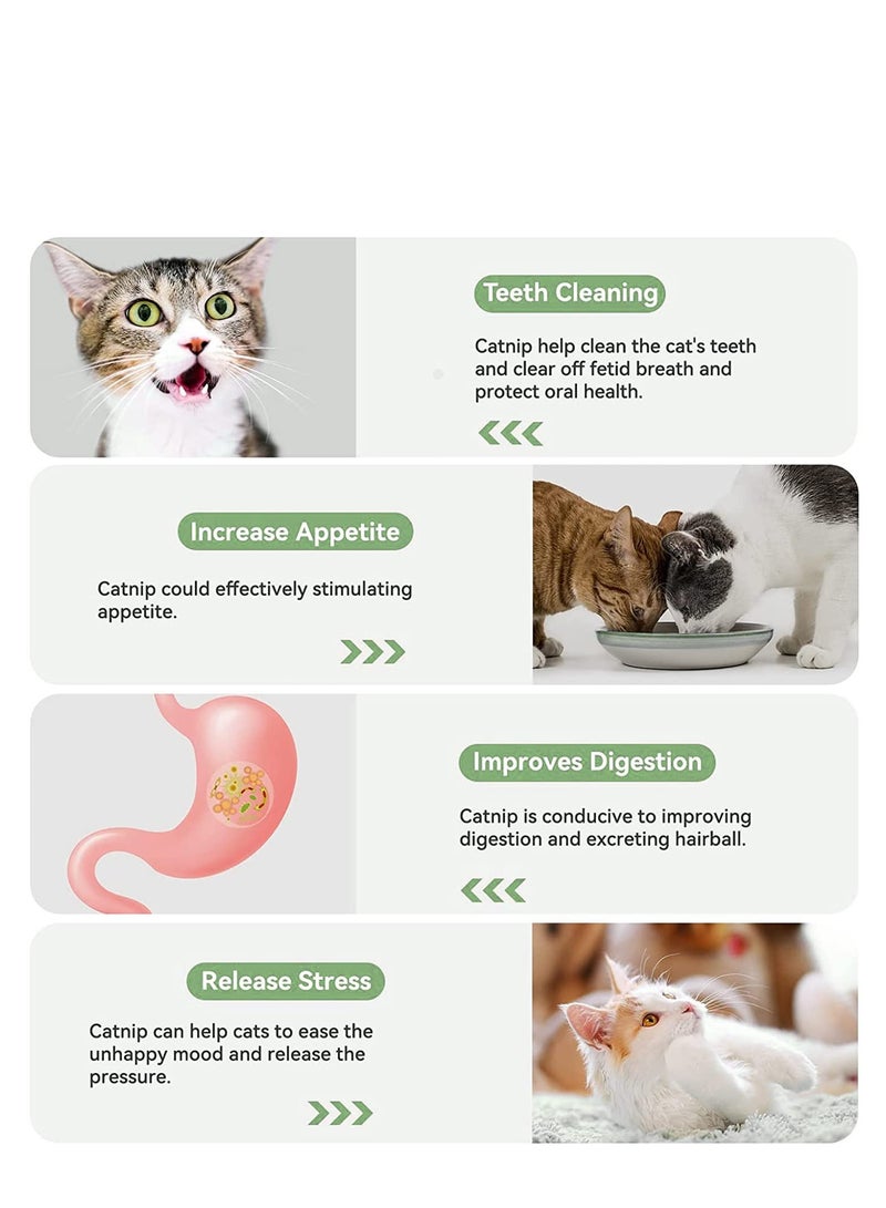 Zikra 4 Pcs Catnip Ball Toy, Wall Cat Paw Shape Catnip Toy Pure Natural Mint Leaves Rotatable Indoor Snap on Wall Cat Chew Toy Kitten Teeth Cleaning Cat Supplies - Image 3