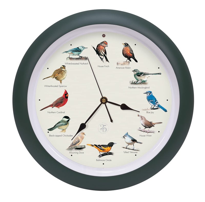 Mark Feldstein & Associates Mark Feldstein  Associates The Original Singing Bird Clock 25th Anniversary Edition As Seen On TV 13 Inch Matte Green 