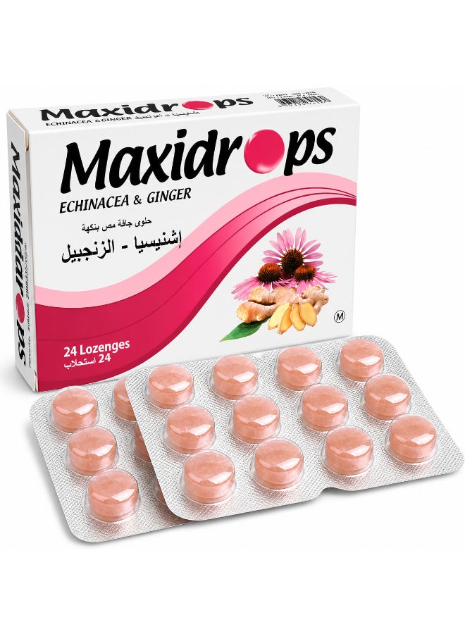 Maxidrops Echinacea & Ginger Lozenges, 24 Lozenges | Vitamin C, Menthol, Ginger Oil & Peppermint Oil | Refreshing Sensation for the Throat - Image 1