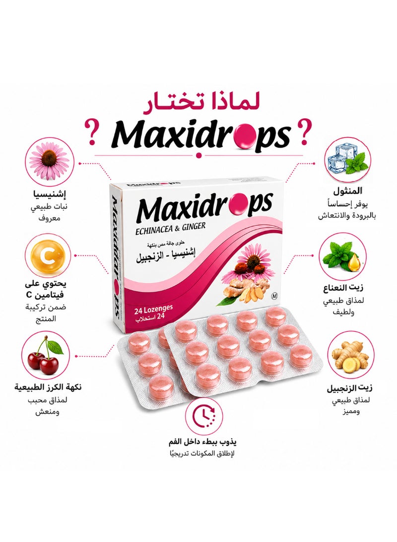 Maxidrops Echinacea & Ginger Lozenges, 24 Lozenges | Vitamin C, Menthol, Ginger Oil & Peppermint Oil | Refreshing Sensation for the Throat - Image 2