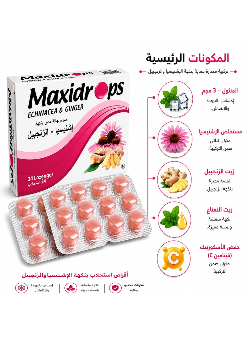 Maxidrops Echinacea & Ginger Lozenges, 24 Lozenges | Vitamin C, Menthol, Ginger Oil & Peppermint Oil | Refreshing Sensation for the Throat - Image 4