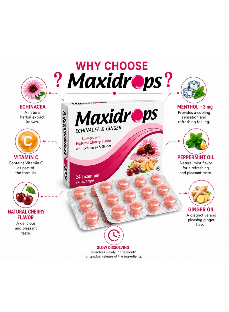 Maxidrops Echinacea & Ginger Lozenges, 24 Lozenges | Vitamin C, Menthol, Ginger Oil & Peppermint Oil | Refreshing Sensation for the Throat - Image 3