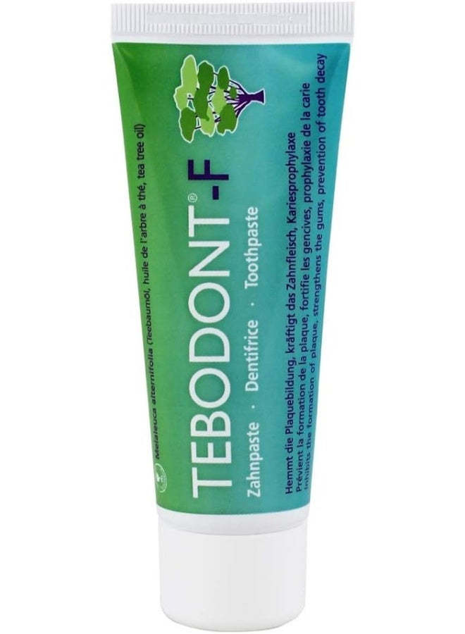 Tebodont Tooth Paste (75ml)