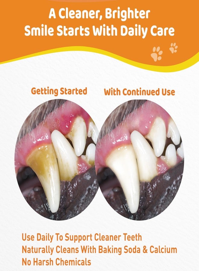 Jollyfit Dog Teeth Cleaning Powder - Natural Dog Dental Powder -Gentle Dog Breath Freshener, Dog Plaque and Tartar Remover, Vet Formulated No Sodium Hexametaphosphate- 60 Scoops, 4.23oz (120g) - Image 4