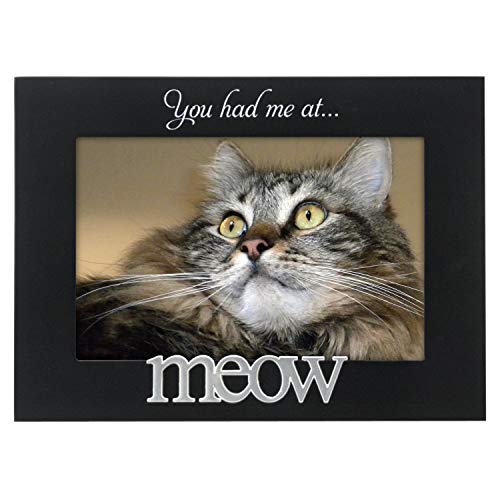 Malden International Designs 4964-46 Expressions You Had Me at Meow Black Wood Picture Frame, 4x6, Black - Image 1