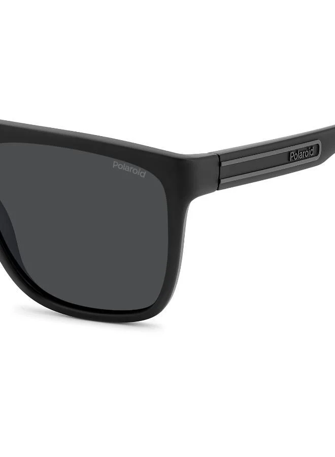 Polaroid  Wayfarers Sunglasses for Men | Best Price UAE