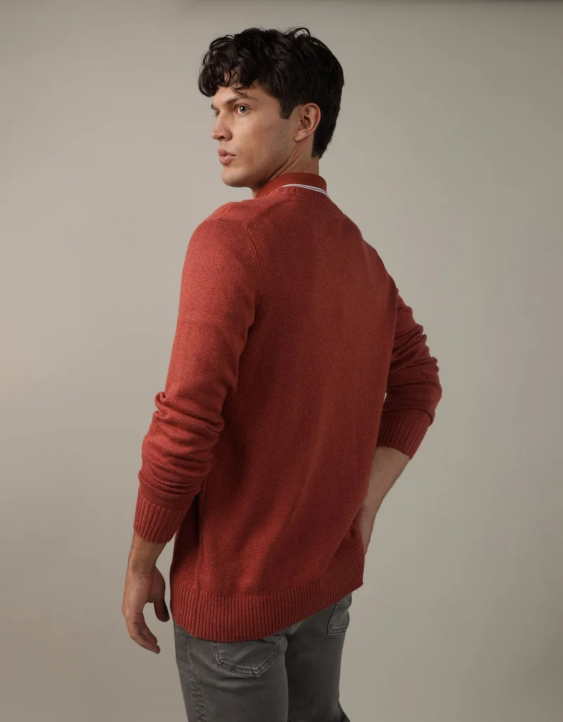 American Eagle Super Soft V-Neck Sweater