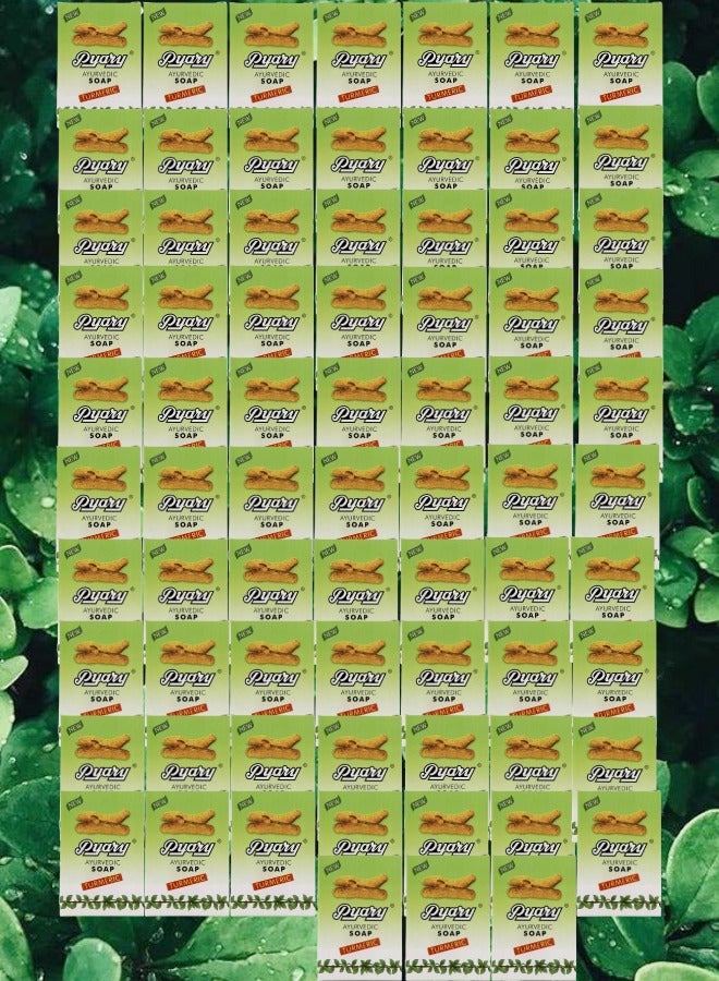بياري 73 قطع صابون الكركم طبيعي بالكامل مصنوع يدويًا من الايورفيدا نباتي