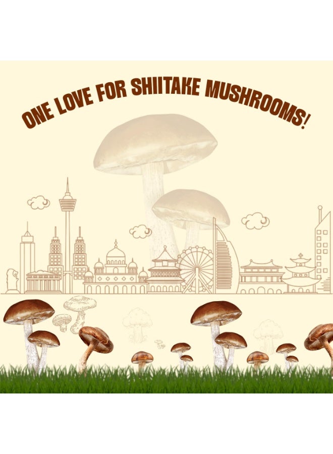 Urban Platter Dried Shiitake Mushrooms Pet Jar 100g - Image 4
