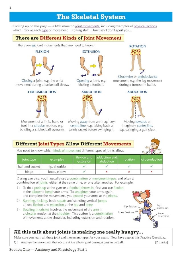 null - Coordination Group Publications Ltd (CGP) GCSE Physical Education OCR Revision Guide - for the Grade 9-1 Course - Image 1