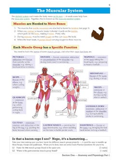 Coordination Group Publications Ltd (CGP) GCSE Physical Education OCR Revision Guide - for the Grade 9-1 Course