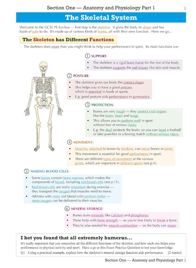 null - Coordination Group Publications Ltd (CGP) GCSE Physical Education OCR Revision Guide - for the Grade 9-1 Course - Image 1