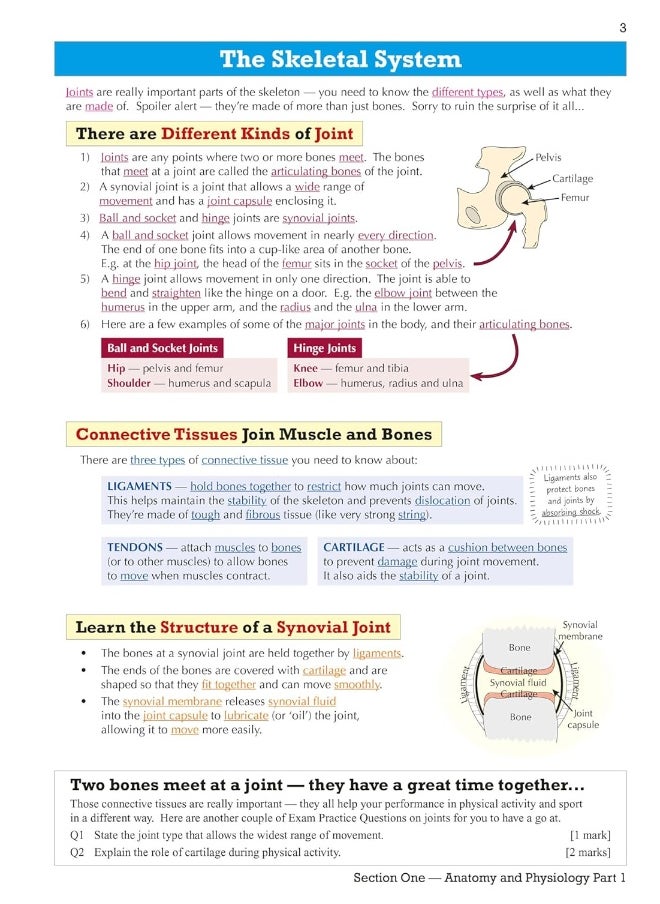 null - Coordination Group Publications Ltd (CGP) GCSE Physical Education OCR Revision Guide - for the Grade 9-1 Course - Image 1