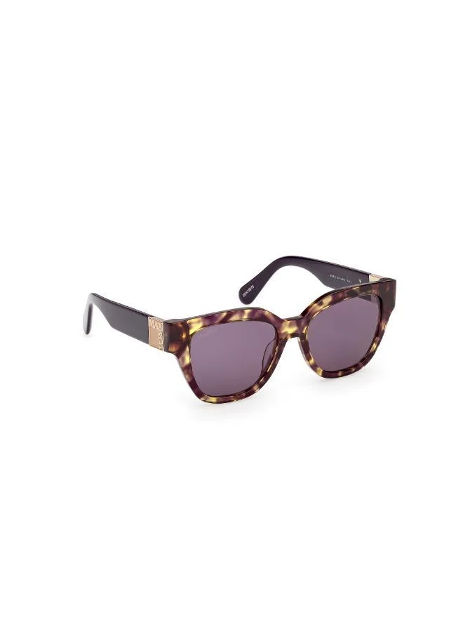 MAXCO  wayfarers sunglasses for Women | Best Price UAE