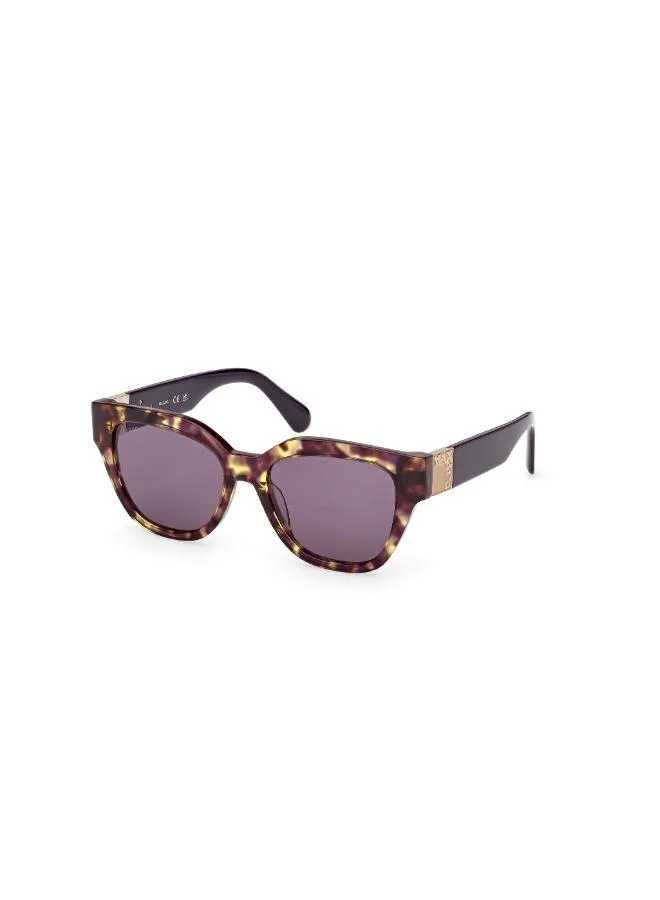 MAXCO  wayfarers sunglasses for Women | Best Price UAE
