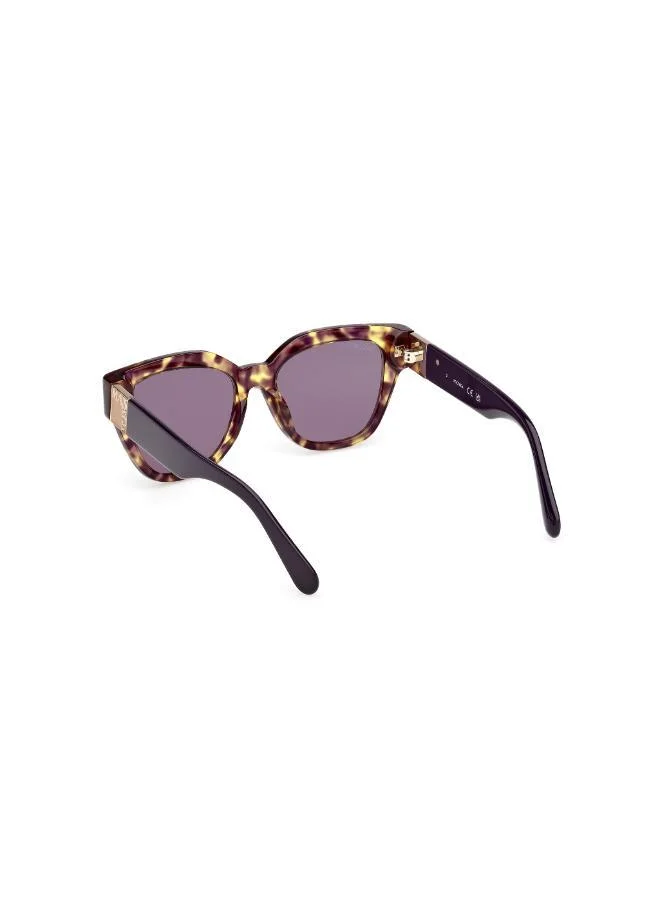 MAXCO  wayfarers sunglasses for Women | Best Price UAE