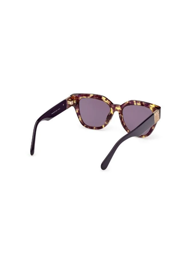 MAXCO  wayfarers sunglasses for Women | Best Price UAE