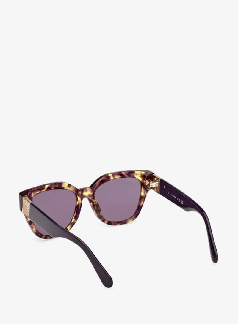 Maxco  wayfarers sunglasses for Women | Best Price UAE
