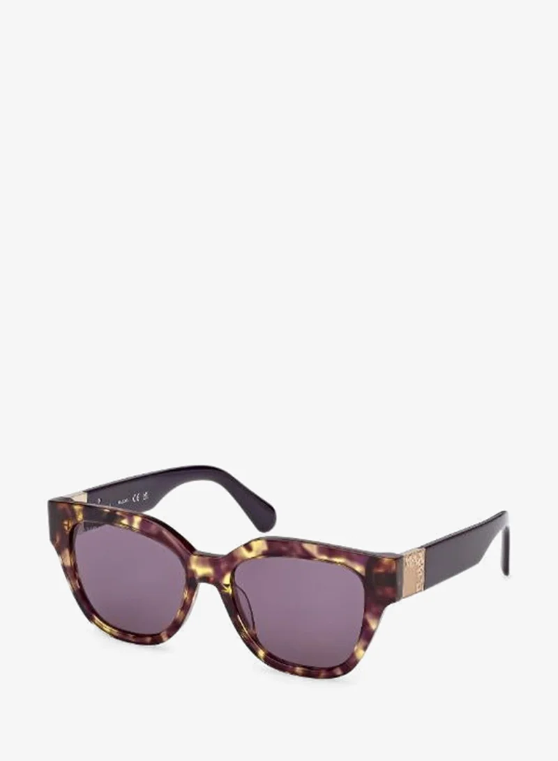 Maxco  wayfarers sunglasses for Women | Best Price UAE