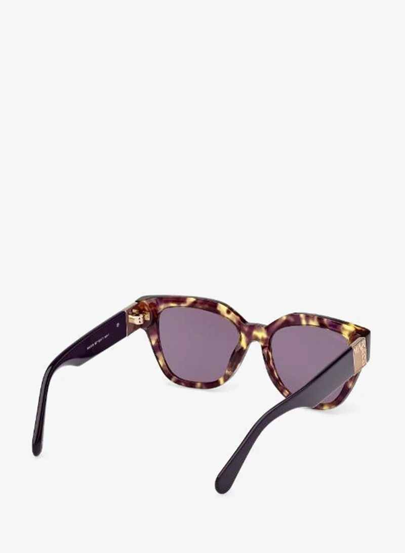 Maxco  wayfarers sunglasses for Women | Best Price UAE