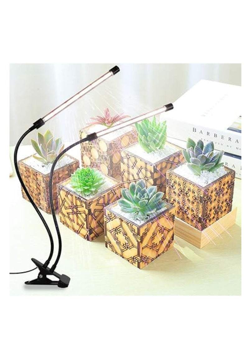 كنب تزايد الضوء الأبيض