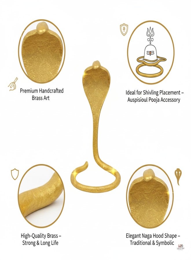 Salvus APP SOLUTIONS Brass Snake for Shivling - Handcrafted Naag Statue for Hindu Pooja and Decor - Intricate and Elegant Design - Perfect Addition to Your Pooja Room (Golden_1.5 x 2.8 inch) - Image 3