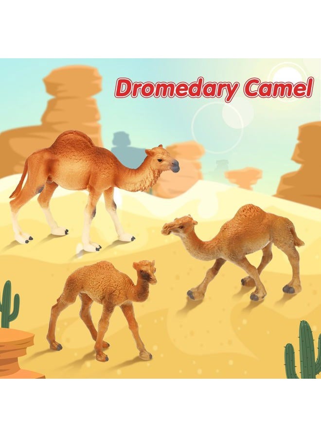 Supervitae 8 Pcs Large Plastic Camels Toys Plastic Figures Big Size Wild Arabian Camel Dromedary Toy Desert Stuffed Animals Figures with Humps Play for Home Diorama Decor - Image 4