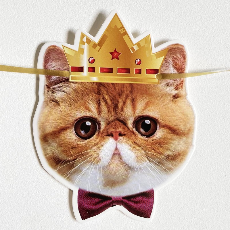 YUNSHANGMO Happy Birthday Cat Banner Garland Funny Decor Cat Face Bday Party Bunting Decorations Gold Sign - Image 4