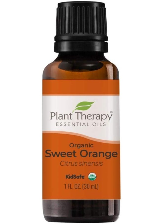 Plant Therapy Plant Therapy USDA Certified Organic Sweet Orange Essential Oil  - Image 1