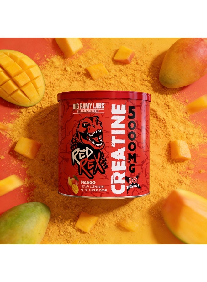 RED REX Creatine Monohydrate Powder - Mango Flavor - 300g - for Muscle Growth & Recovery - Image 3