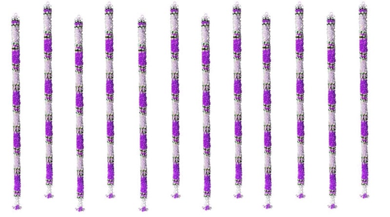 Tia Crafts Artificial White Gajra Jasmine & Colourful Flower Strings for Wedding Decorations, Event Decor Perfect for Diwali, Ganpati & Pooja/Temple/Mandir Decoration, 5ft (12, Purple - 5ft) - Image 5