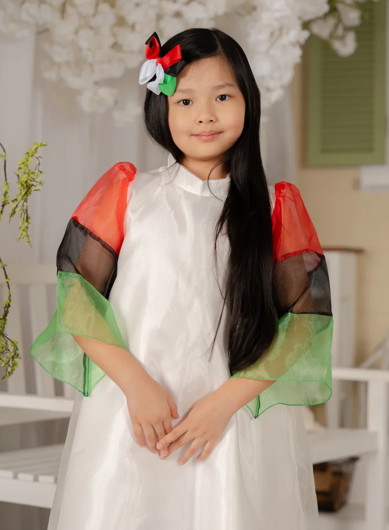 دىدانيالا Sleeve Colorblock Dress