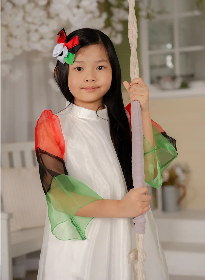 دىدانيالا Sleeve Colorblock Dress