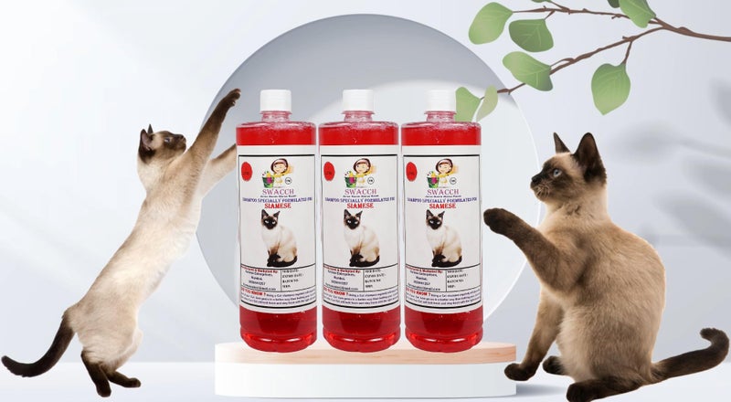 Swacch Shampoo Specially Formulated for Siamese Cat (1 Litre) (Pack of 3) Jasmine - Image 2