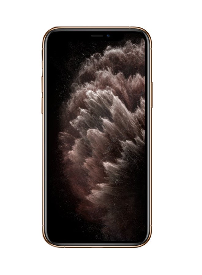 Apple iPhone 11 Pro With FaceTime Gold 64GB 4G LTE - UAE Specs - Image 2