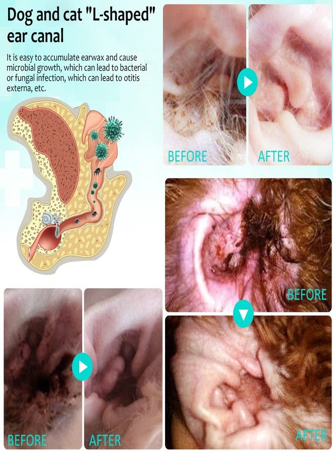VOSIFSDIY Ear Mites Clean for Dogs & Cats, Ear Mite Treatment for Dogs and Cats, Dog Ear Infection Treatment, Ear Mite Treatment for Dog Yeast Infection, 100% Natural Dogs Cats Ears Drops - Image 5